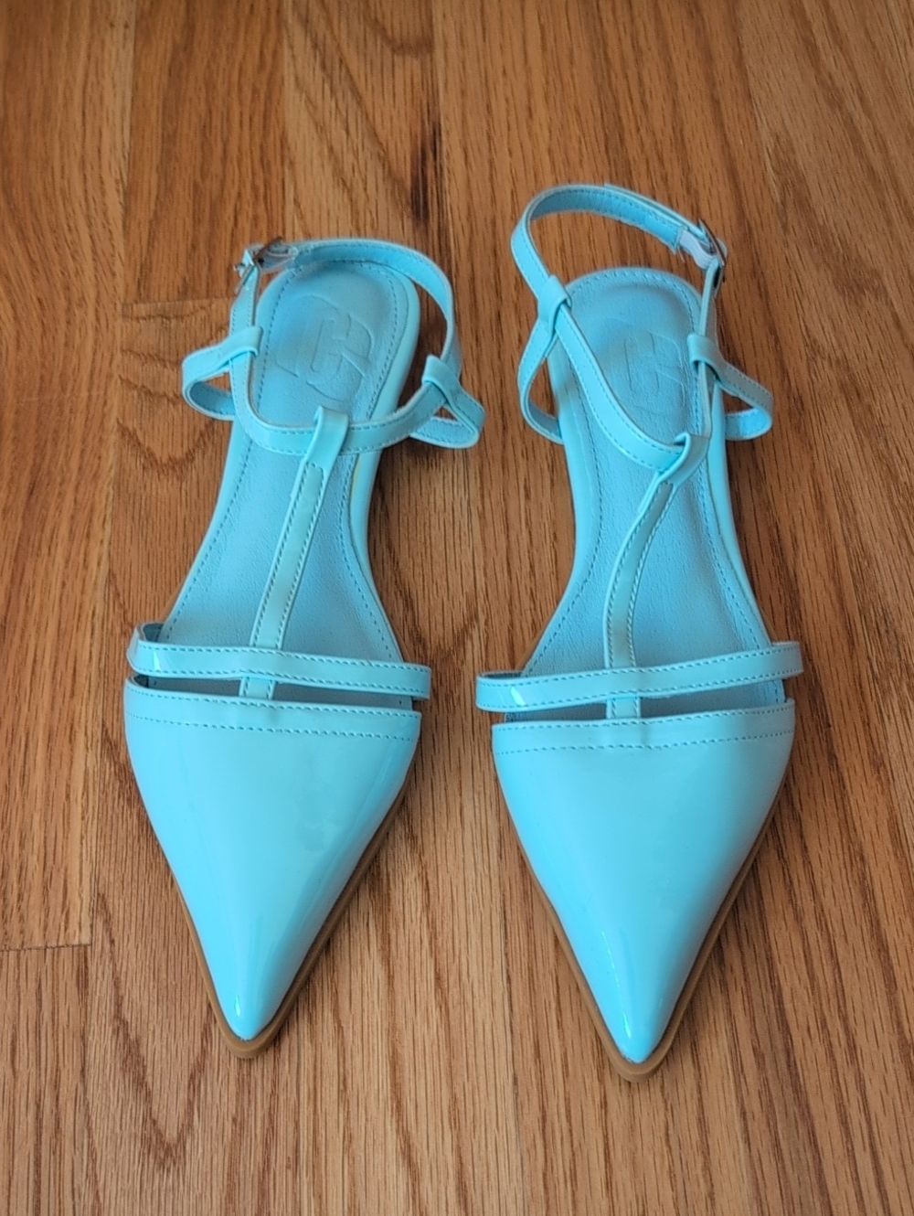Women’s Pointed T-Strap Sandals in Light Blue